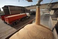 ورود بیش از یک میلیون تن گندم از طریق بندر امام خمینی به کشور