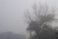 هشدار نارنجی وقوع مه برای خوزستان