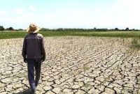 ابلاغ پرداخت تسهیلات خسارت خشکسالی در خوزستان