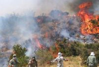 مهار آتش‌سوزی بیشه علی‌آباد در اندیمشک