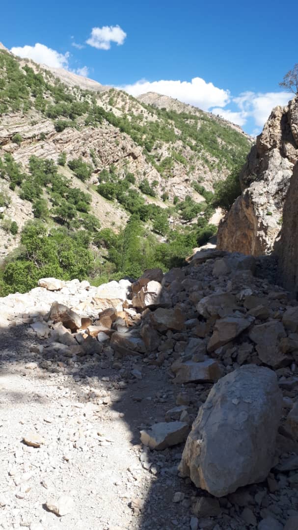 نبودجاده مناسب کوچ عشایرصیدون را باسختی همراه کرد