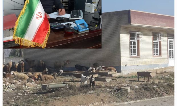 انتقاد رئیس شورای روستای کاظم بخش عقیلی از شبکه بهداشت و درمان گتوند