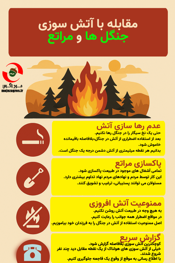 اینفوگرافی/مقابله با آتش سوزی در جنگلها و مراتع