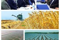 خوزستان؛ قطب مهم کشاورزی و تکیه‌گاه امنیت غذایی کشور