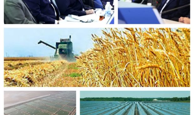 خوزستان؛ قطب مهم کشاورزی و تکیه‌گاه امنیت غذایی کشور