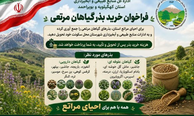خرید تضمینی بذر گیاهان مرتعی کهگیلویه و بویراحمد/فراخوان مهم منابع طبیعی برای نجات مراتع زاگرس+جزئیات