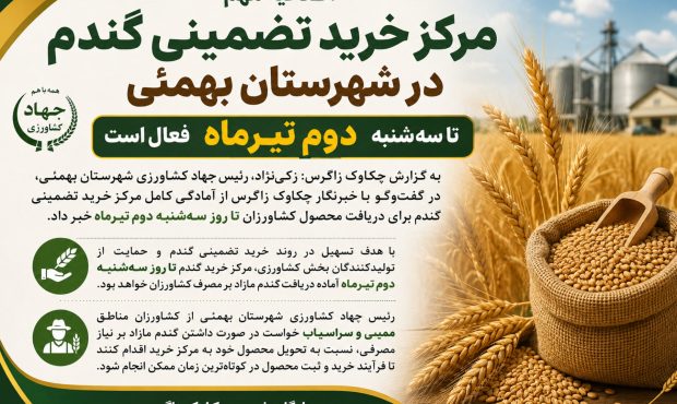 مرکز خرید تضمینی گندم در شهرستان بهمئی تا سه‌شنبه دوم تیرماه فعال است